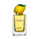 Dolce & Gabbana Lemon Fruit Collection EDT